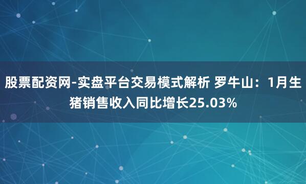 股票配资网-实盘平台交易模式解析 罗牛山：1月生猪销售收入同比增长25.03%